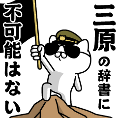 "MIHARA"name/Military cat