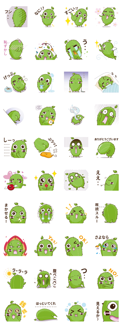 Cactus Family-Mr.Cactus(Japan)