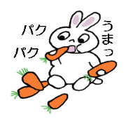 Moco is a rabbit