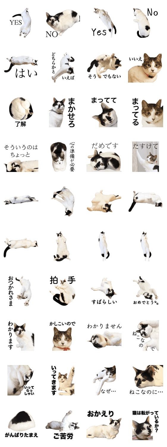 続 猫は転がっているか Lineクリエイターズスタンプ Stamplist