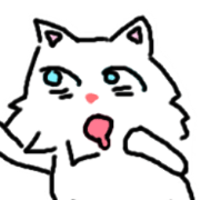 The cat everyday !
