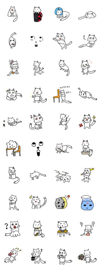 The cat everyday !