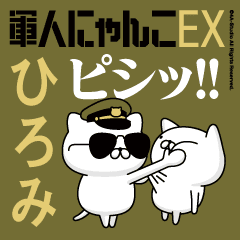 "HIROMI"name/Movie Military cat