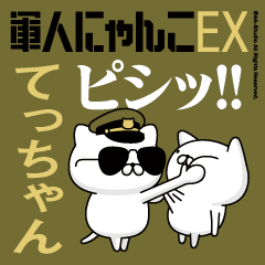 "TECCHAN"name/Movie Military cat
