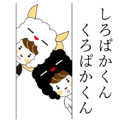 White alpaca & Black alpaca