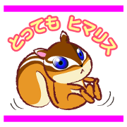 The hippest chipmunk "Shimarisu-kun"