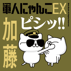 "KATOU"name/Movie Military cat