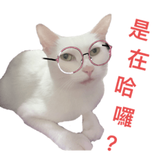 咪咪小淘氣拍貼