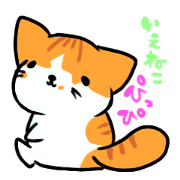 HouseCat "PIPPI"
