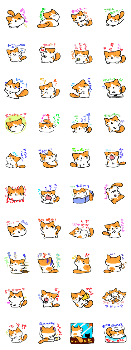 HouseCat "PIPPI"