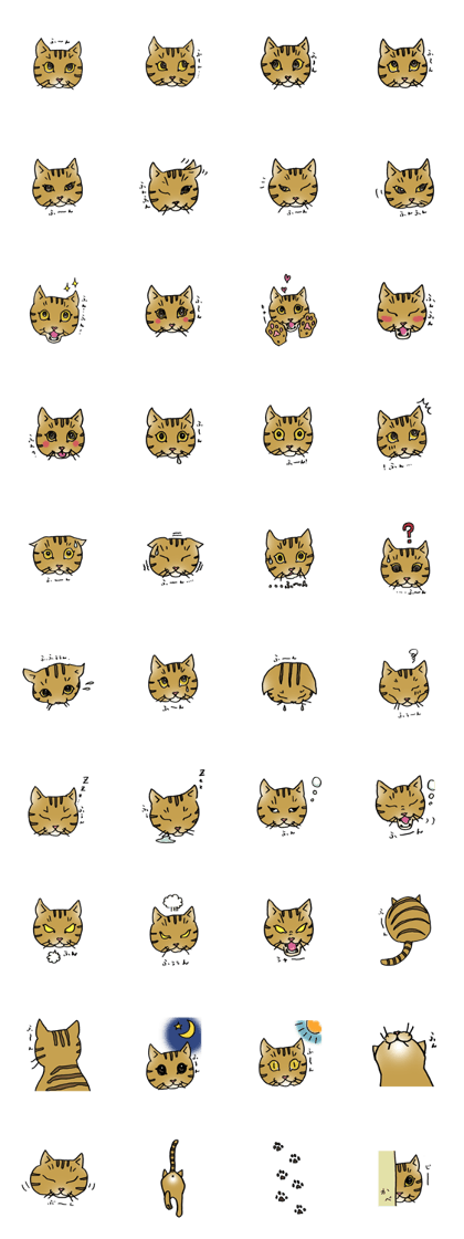 cat's huun