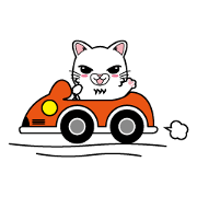 White cat Kokoro