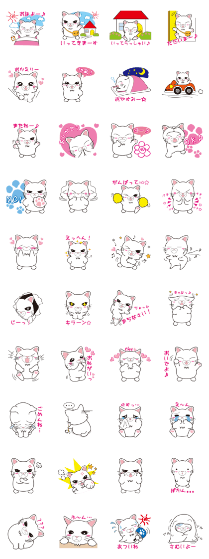 White cat Kokoro