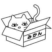 cat and daily life