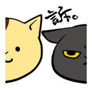 cat to sue