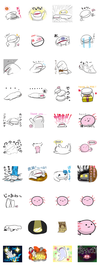 Japanese giant saramander and Axolotl