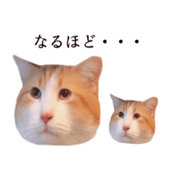 karinsun_20200320161929