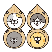KURUMI CAT!