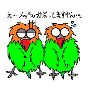 pi-tan of lovebird