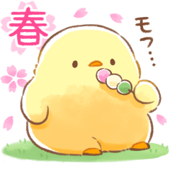 Soft and cute chick(spring)