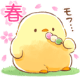 Soft and cute chick(spring)