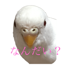 hikari_20200321160700