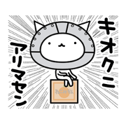Cat like robot