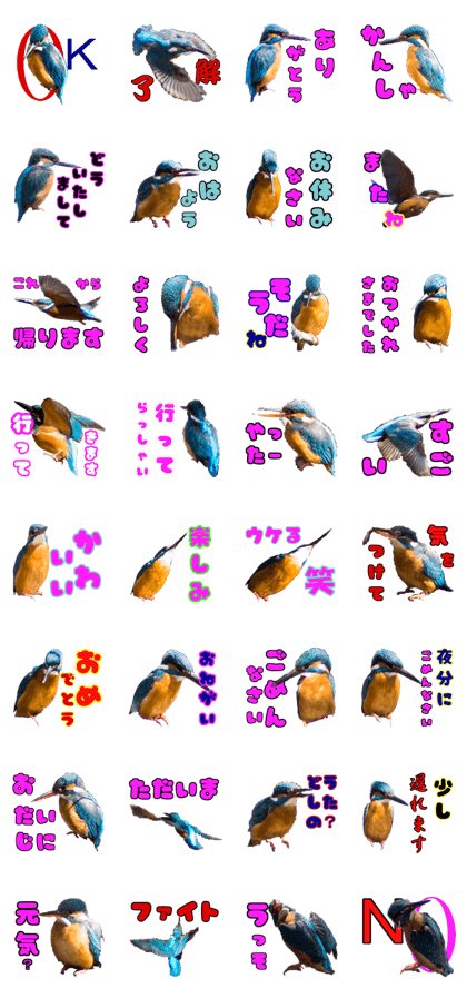 Kingfisher Daily conversation