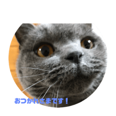 imunamu_20200321175058