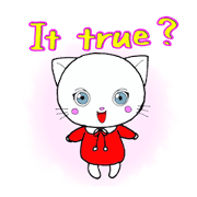 Baby cat4