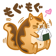 Eclair, cat loves food