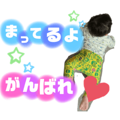 papa_20200321203936