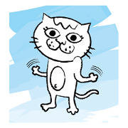 Mr. Siroko