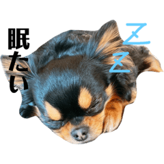 asuka_20200321211115