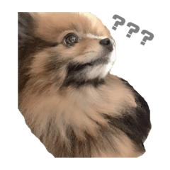 yurina_20200321052252