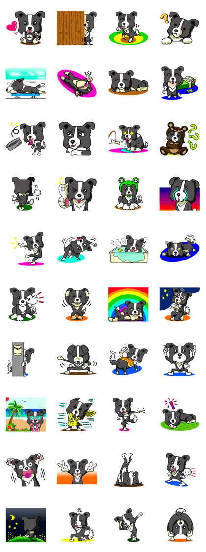 I Love Border Collie3