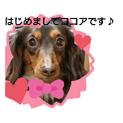 cocoa_20200322002716