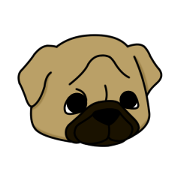 Pug's everyday llife.