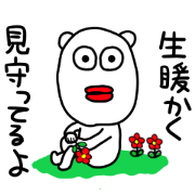 Suitable bear