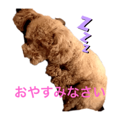 yun_20200322084436