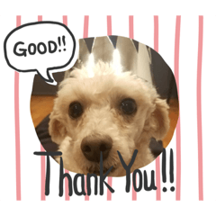 SATOSHI_20200322103424