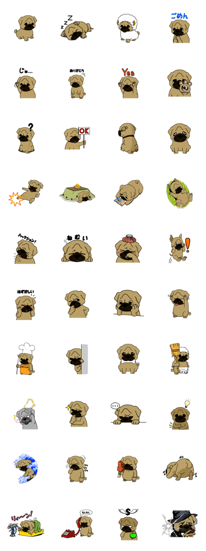 Pug's daily life.