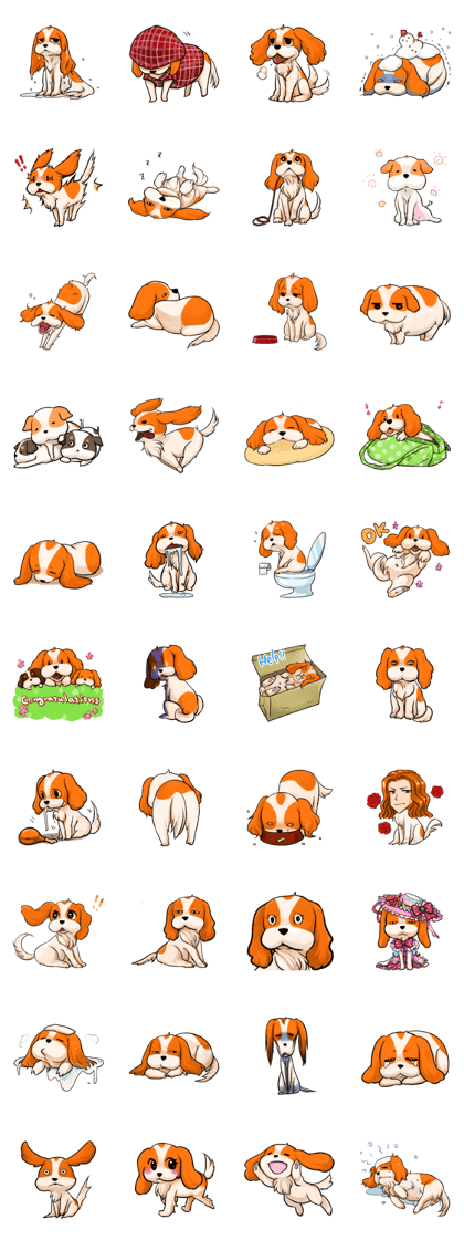 love!cavalier