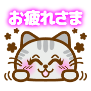 Chubby cats Puni Nyanko