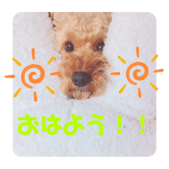 LOVEMUKKU