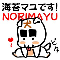 NORIMAYU Dog