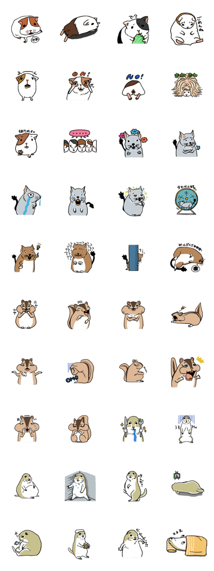 Petty front tooth Petty front tooth