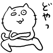 Everyday White Cat!
