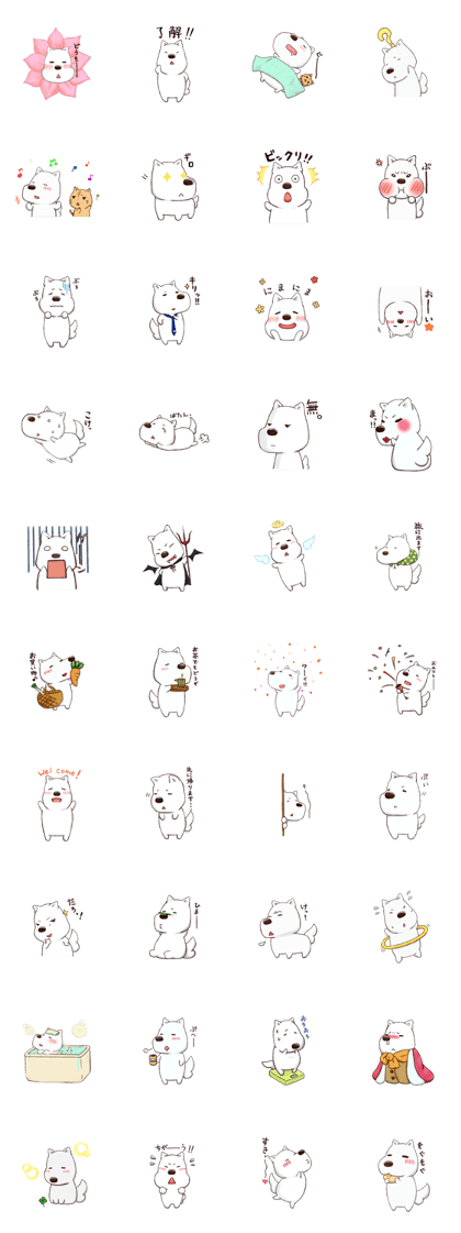 Everyday of Poti2 Everyday of Poti2