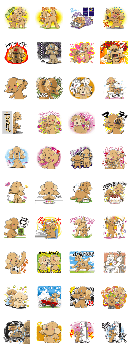 Tocotoco poodle brothers